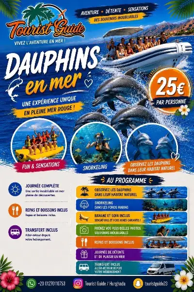 Flyer Dauphins en mer à Hurghada : observation des dauphins dans leur habitat naturel, snorkeling, banane, repas et transfert inclus — 25 € par personne