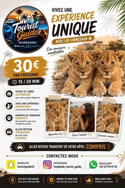 Flyer Rencontre avec les lionceaux à Hurghada : 15 à 20 minutes, photos et vidéos avec votre téléphone, transfert hôtel aller-retour compris — 30 € par personne