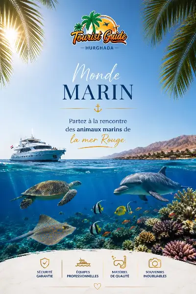 Flyer de présentation de la catégorie Dauphins et animaux marins — Tourist Guide Hurghada