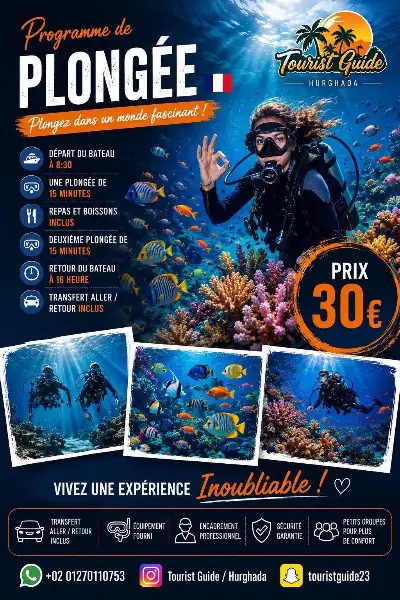 Flyer Programme de plongée à Hurghada : deux plongées de 15 minutes, repas et transfert inclus — 30 €