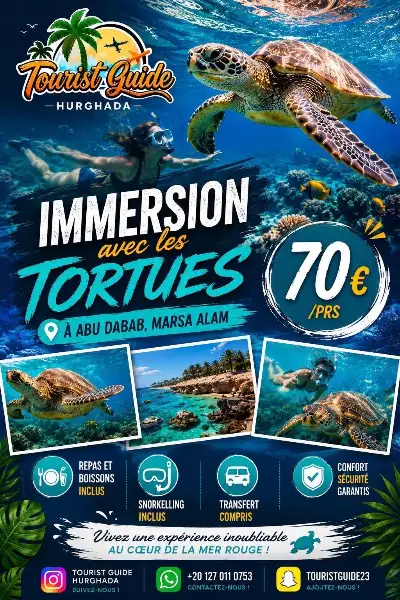 Flyer Immersion avec les tortues à Abu Dabab, Marsa Alam : snorkeling, repas et transfert compris — 70 € par personne